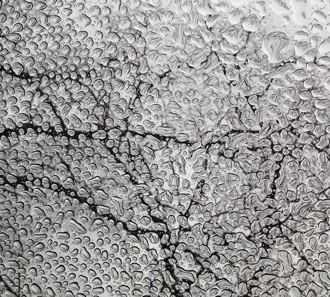 Soft Spring Rain. Almost forgot what it feels like. Fresh. So much water. Oh for a stick, a gravel driveway, a yellow slicker, shiny red rain boots.