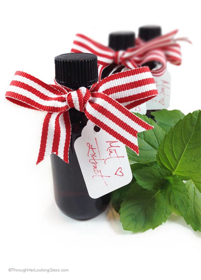 DIY Mint Extract Through Her Looking Glass