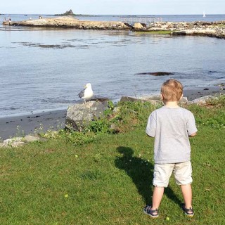 My little stalker. Never knew when I dreamed of having my sweet little babies that I'd bring a stalker into this world. Hudson, my little seagull stalker.