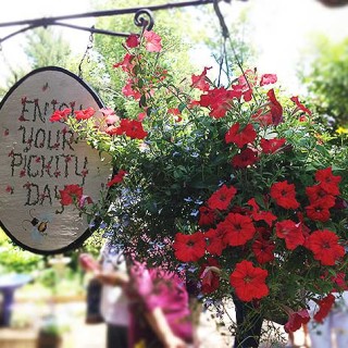 Pickity Place, quaint New England destination/restaurant. Chosen by Elizabeth Orton Jones as the model for illustrations in Little Red Riding Hood in 1948.