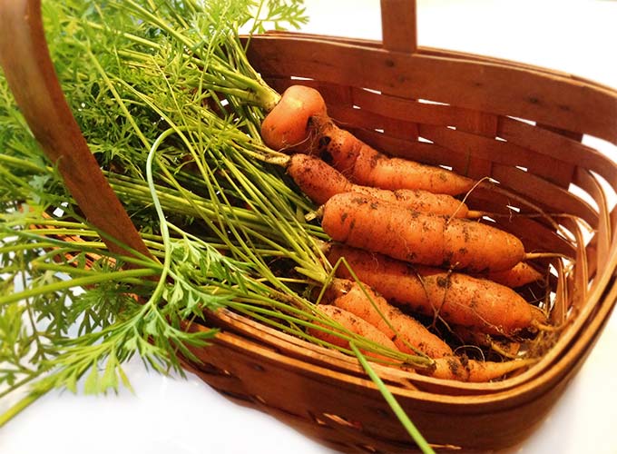 Honey Roasted Dill Carrots Through Her Looking Glass