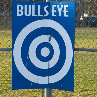 Bullseye: true story. I get such a kick writing about things that actually happen. This actually happened to dear friends of mine, and you just can't make this stuff up.