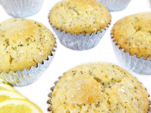 Lemon Poppy Seed Muffins A Kitchen Addiction : Healthy Lemon Poppy Seed Muffins Fit Mitten Kitchen - We did not find results for: