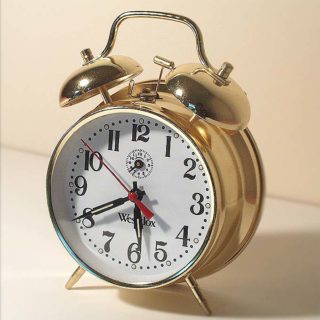 Saturday Morning Snugglebug Alarm Clock