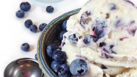 Wild Maine Blueberry Ice Cream - Through Her Looking Glass