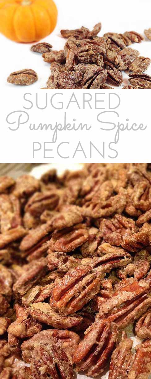 Pumpkin Spice Sugared Pecans. Sweet and crunchy. Perfect for snacking or gifting. Addictive topper for salads, ice cream or cheesecake.