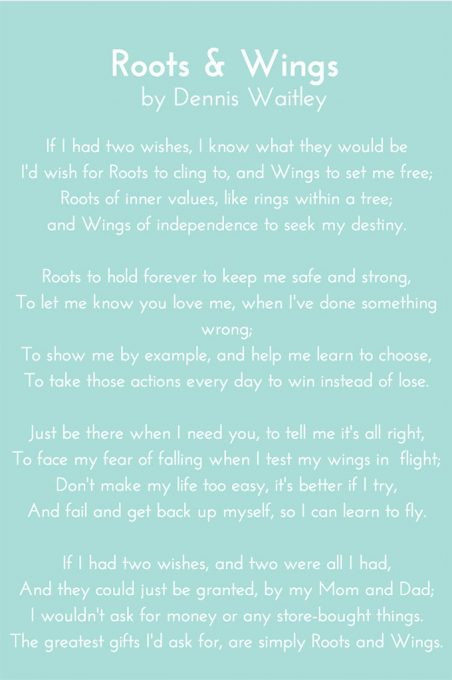 Roots and Wings - Through Her Looking Glass