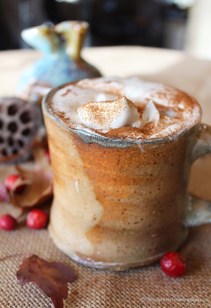 Steaming milk whisked to a froth combined with sweet, pure maple syrup. A dollop of fresh whipped cream floating on top. Now that is a bonafide maple syrup steamer.