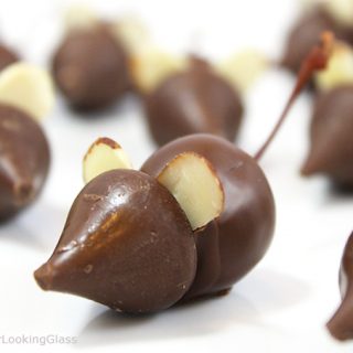 These itty bitty Chocolate Mice Candy w/Chocolate Covered Cherries are clever and cute. Easy to make. Just a few ingredients you probably have in your cupboard. Kids of all ages snap up these whimsical chocolate treats!