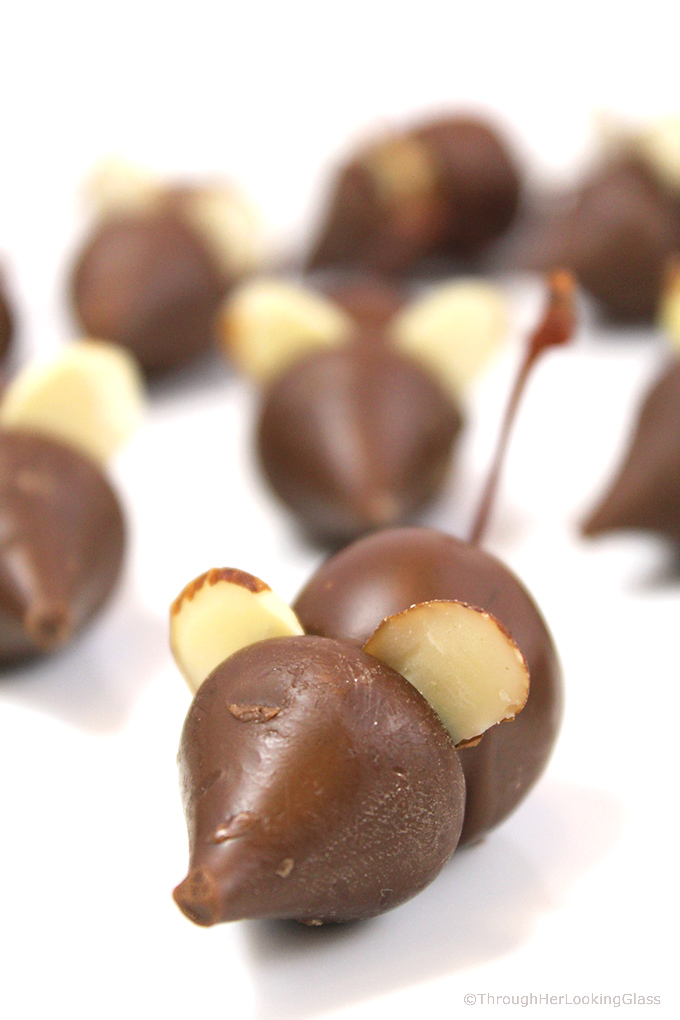 These itty bitty Chocolate Mice Candy w/Chocolate Covered Cherries are clever and cute. Easy to make. Just a few ingredients you probably have in your cupboard. Kids of all ages snap up these whimsical chocolate treats!