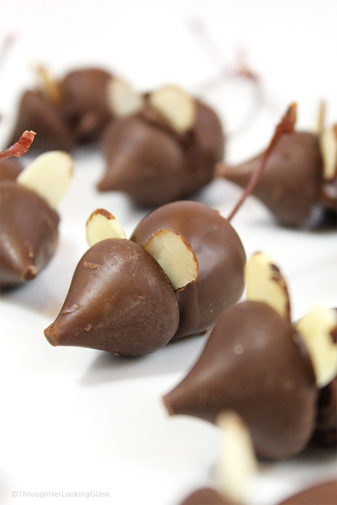 These itty bitty Chocolate Mice Candy w/Chocolate Covered Cherries are clever and cute. Easy to make. Just a few ingredients you probably have in your cupboard. Kids of all ages snap up these whimsical chocolate treats!