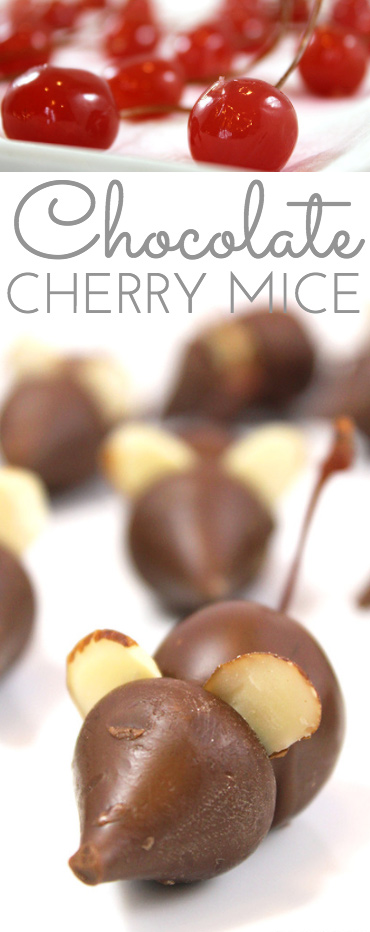 Itty bitty Chocolate Mice Candy w/Chocolate Covered Cherries are clever and cute. Easy to make. Just a few ingredients you probably have in your cupboard. Kids of all ages snap up these whimsical chocolate treats!