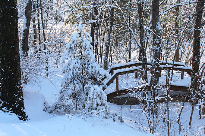 There's nothing like a Frosty New England Morning. I have wonderful childhood memories of wandering the Rhode Island woods behind our house the morning after a freshly fallen snow.