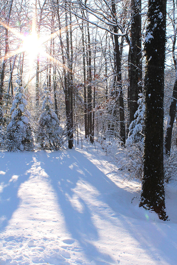 There's nothing like a Frosty New England Morning. I have wonderful childhood memories of wandering the Rhode Island woods behind our house the morning after a freshly fallen snow.