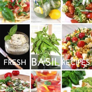 Fresh basil recipes, cocktails, pestos, pasta dishes and pizza, all with fresh basil