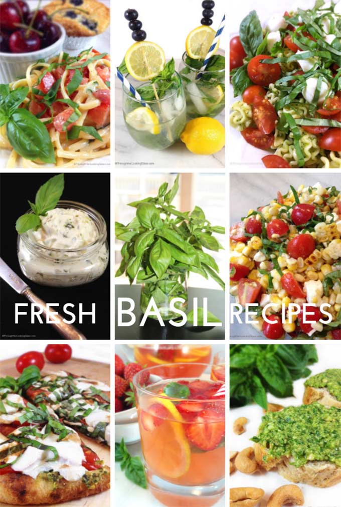 Fresh basil recipes, cocktails, pestos, pasta dishes and pizza, all with fresh basil