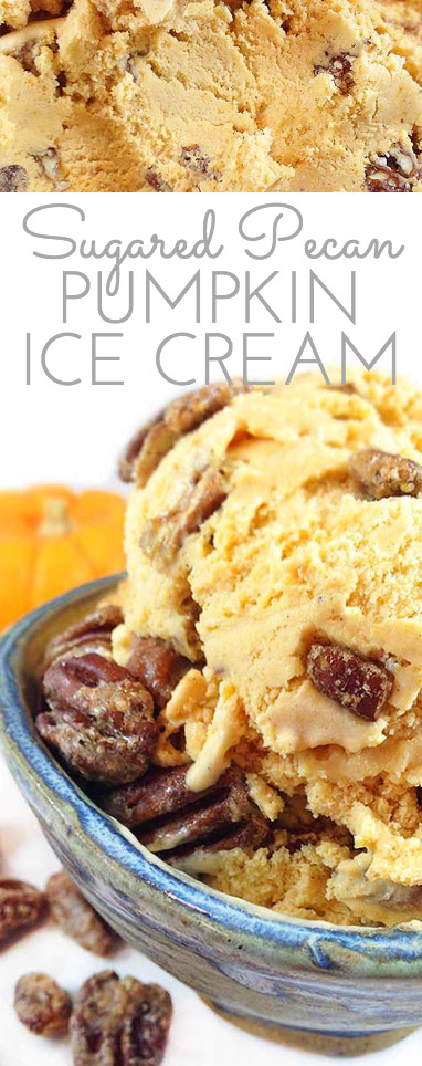 Sugared Pecan Pumpkin Ice Cream. This creamy and delicious ice-cream reminds me of pumpkin pie. Gourmet ice cream perfect for the holidays!