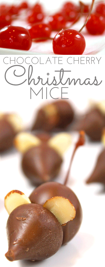 Itty bitty Chocolate Mice Candy w/Chocolate Covered Cherries are clever and cute. Easy to make. Just a few ingredients you probably have in your cupboard. Kids of all ages snap up these whimsical chocolate treats!