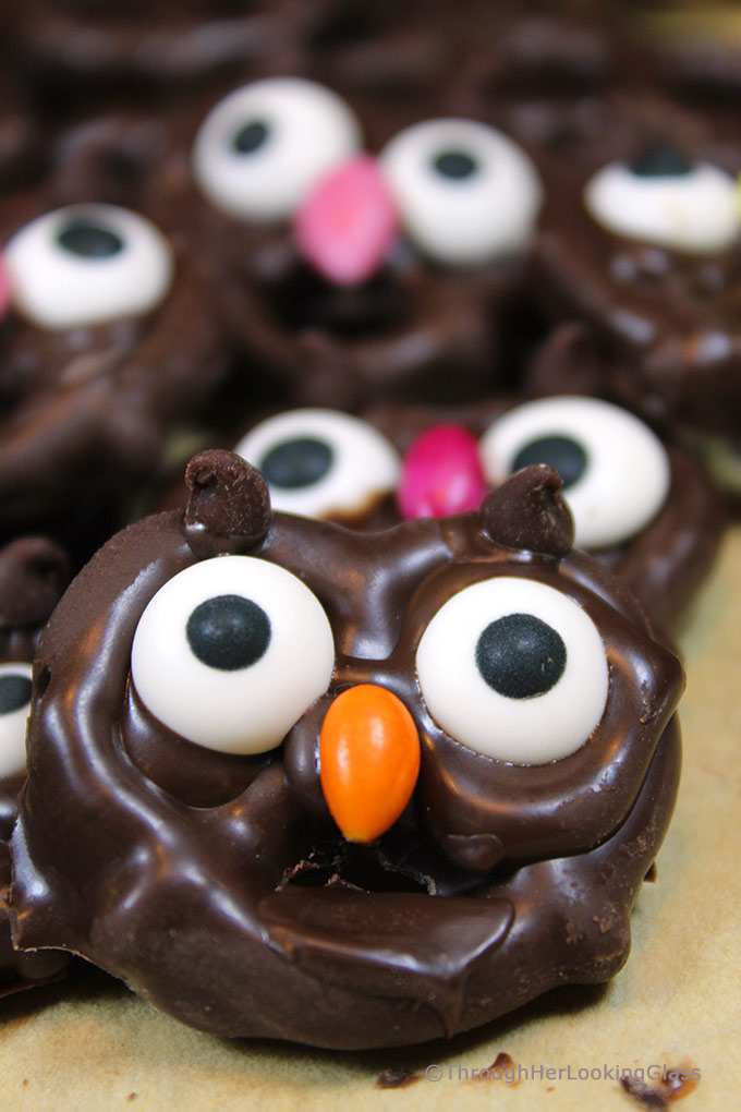 Chocolate Covered Pretzel Owl Candy - Through Her Looking Glass